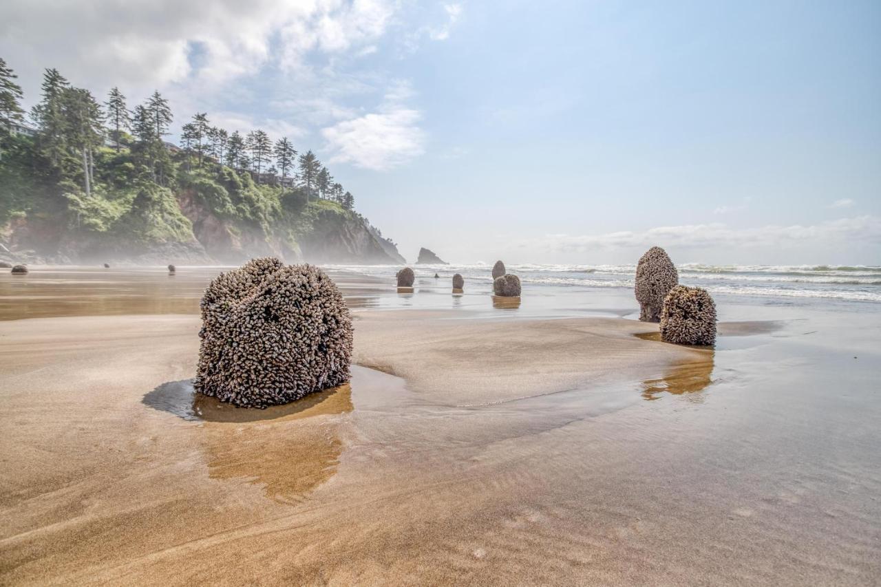 Blue Beach Cottage 네스코윈 외부 사진